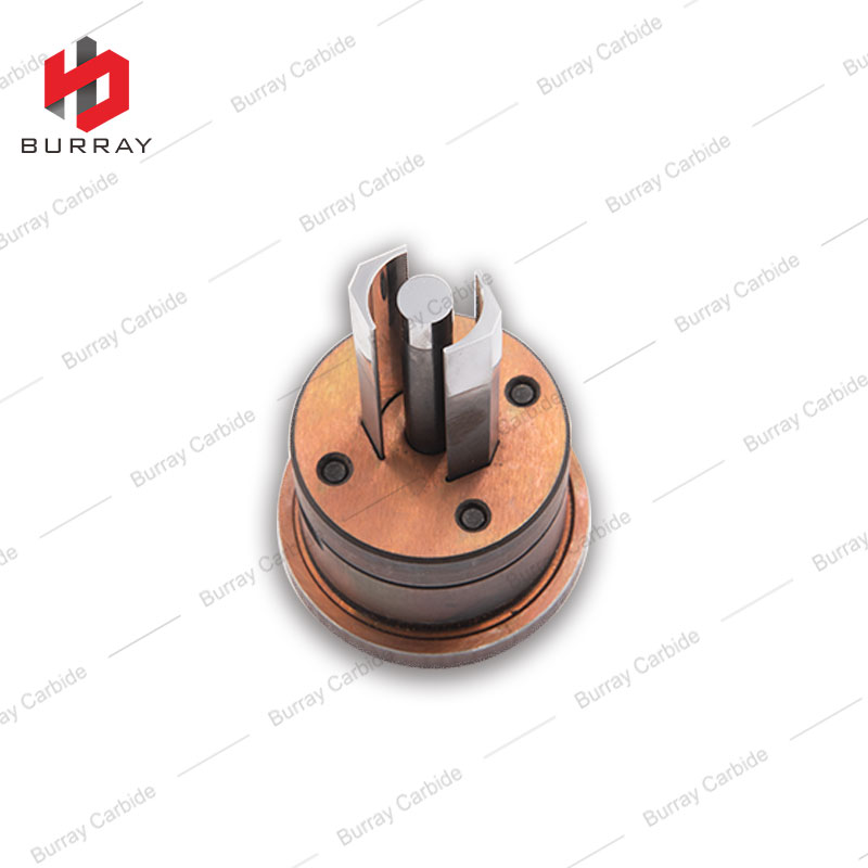 cixingmojuzhutu2 (1)