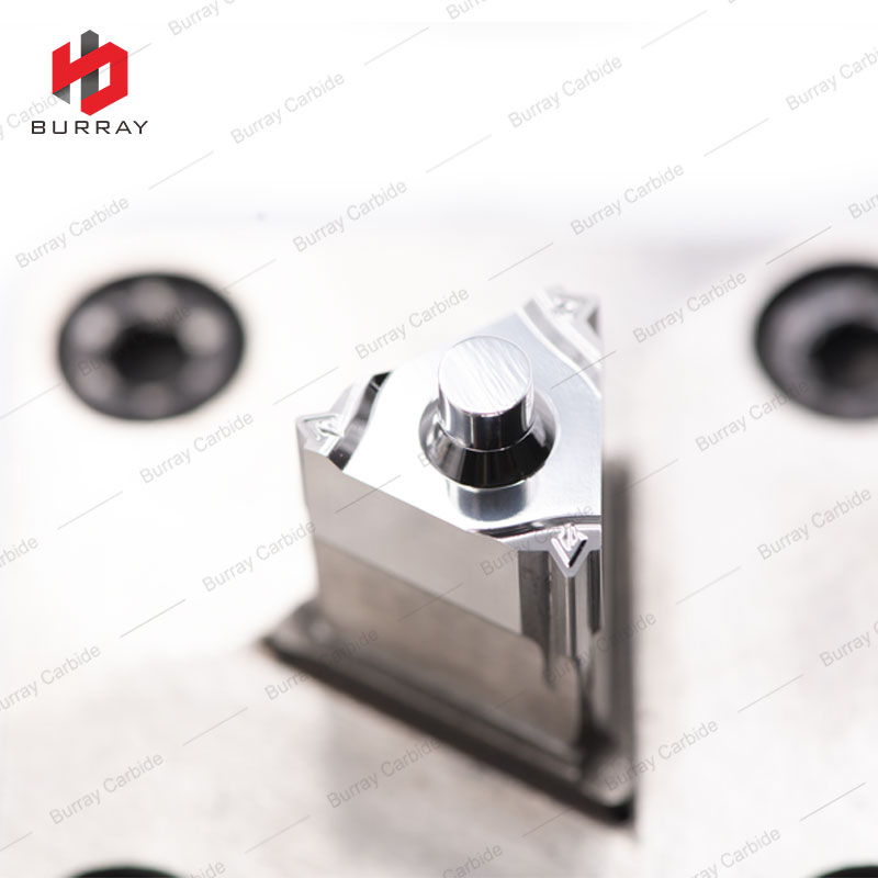 photobank - 2021-06-17T162310.624